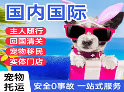 昭苏天马航空空运国际宠物托运 【国